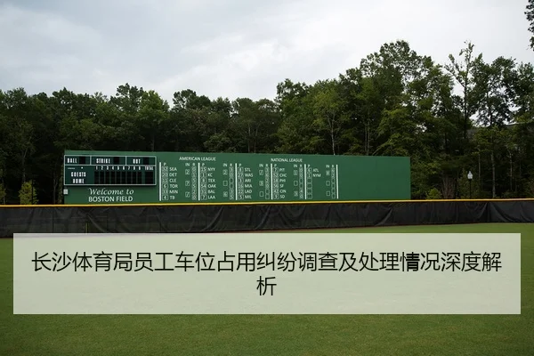 长沙体育局员工车位占用纠纷调查及处理情况深度解析
